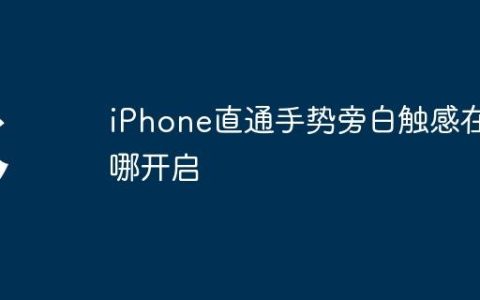 iPhone直通手势旁白触感在哪开启