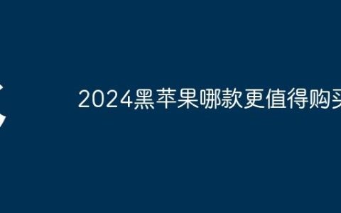 2024黑苹果哪款更值得购买