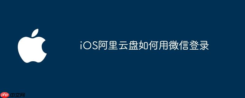 ios阿里云盘如何用微信登录