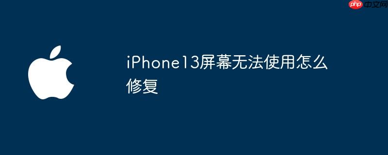 iphone13屏幕无法使用怎么修复