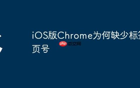 iOS版Chrome为何缺少标签页号