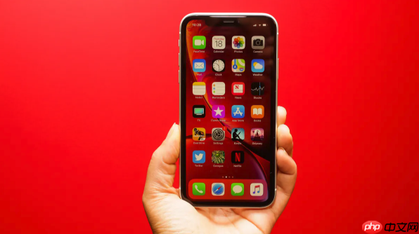 iphone 11 pro max如何开启hdr拍摄模式