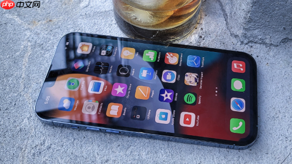 iphone se如何开启低电量自动模式