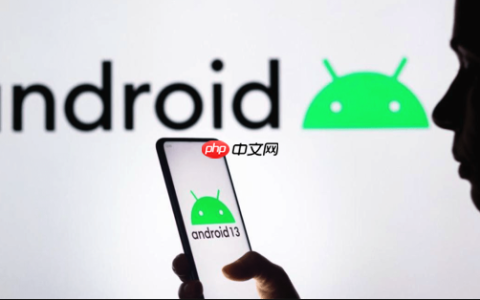 三星 Galaxy Z Flip6 屏幕亮度不均 三星 Galaxy Z Flip6 显示调节