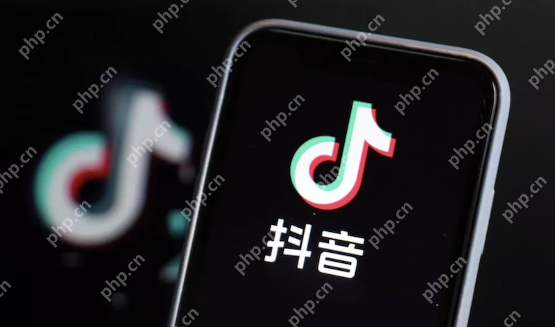 抖音直播在线观看网页版_抖音直播大厅官方入口 - php中文网