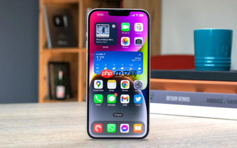 苹果15 Pro Max如何查看系统运行状态?iPhone 15 Pro Max系统运行状态查看方法