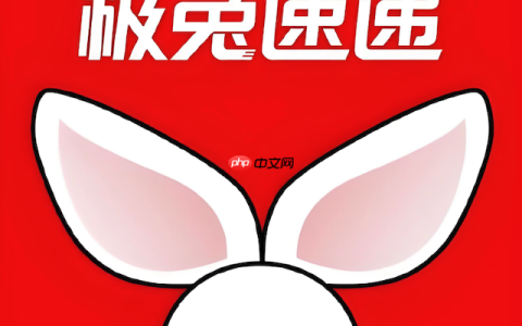 极兔快递物流查询系统 极兔快递运单实时查询入口
