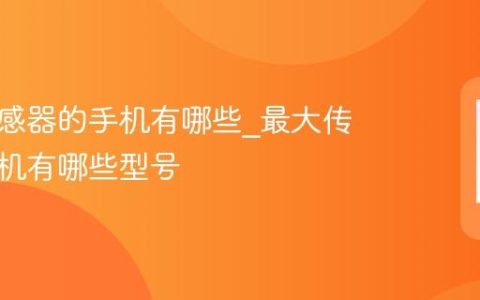 超大传感器的手机有哪些?最大传感器手机有哪些型号