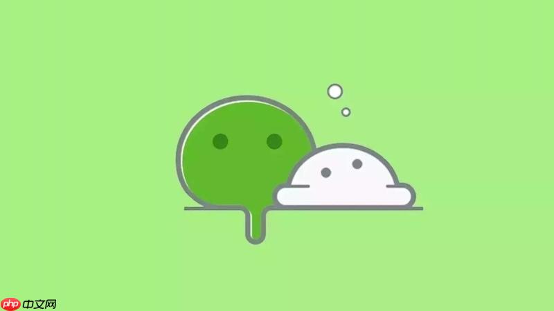 微信分身怎么限制_手机系统对微信分身使用的限制与解除