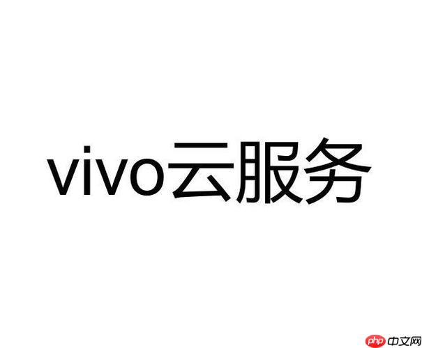 vivo云服务云盘在哪里 怎么找到vivo云服务的云盘