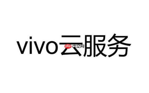 vivo云服务怎么修改密码 如何修改vivo云服务的密码