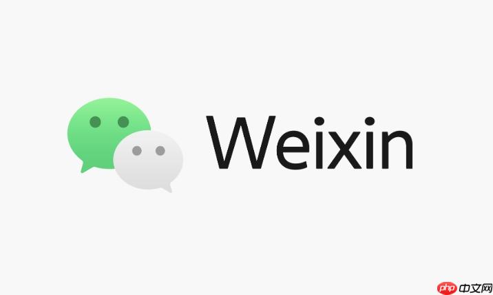 微信网页版网页版入口 微信网页版账号登录官方教程