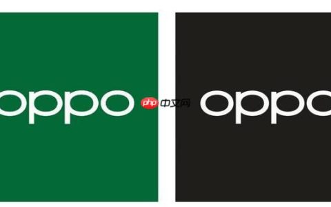 OPPO手机相册照片不见了怎么回事 OPPO手机照片丢失的原因与恢复方法【数据恢复】