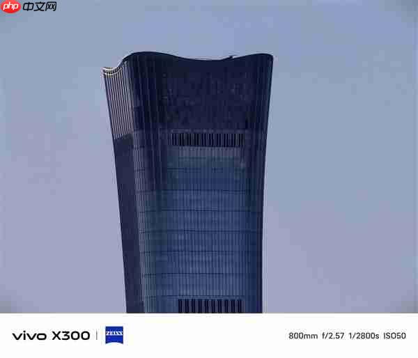 vivo X300增距镜套装上手：手机打鸟不是梦