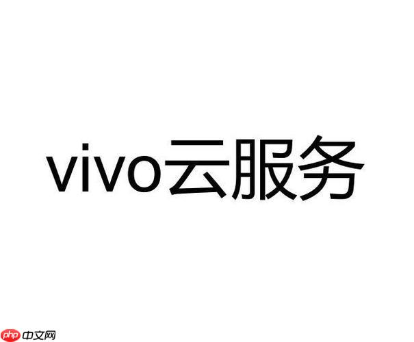 vivo云服务查找手机需要什么条件 使用vivo云服务查找手机的条件