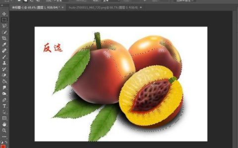 AN图层蒙版怎么用?AN图层蒙版视频特效实现方法