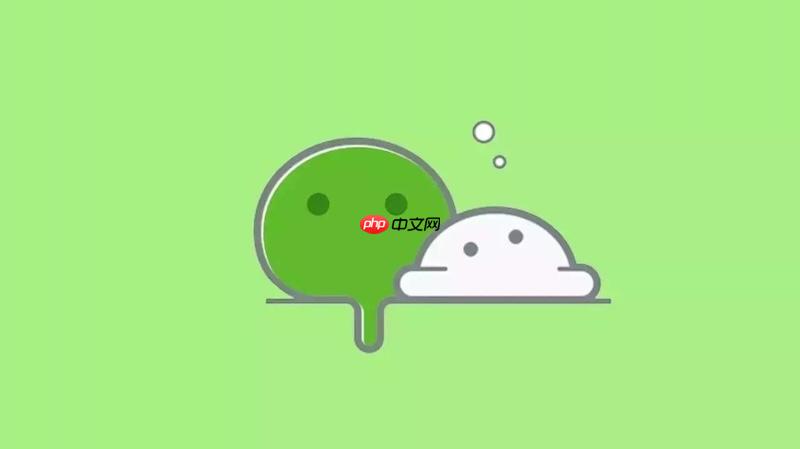 微信网页版网页版官方入口 微信网页版账号登录快速指南