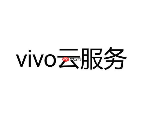 vivo云服务照片在手机哪个文件夹 vivo云服务的照片保存在哪里