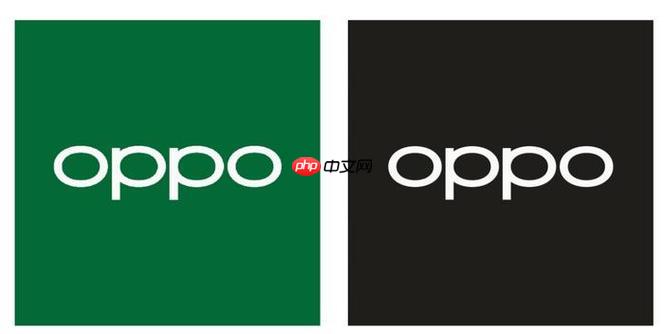 oppo手机相机水印怎么设置_oppo手机拍照显示型号和时间【步骤】