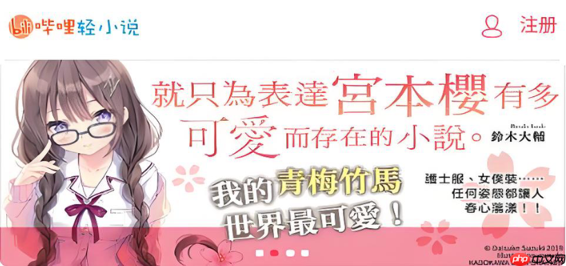 哔哩轻小说为什么搜不到书 哔哩轻小说搜索技巧分享