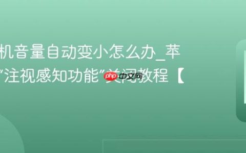 苹果手机音量自动变小怎么办?苹果手机“注视感知功能”关闭教程【亲测】