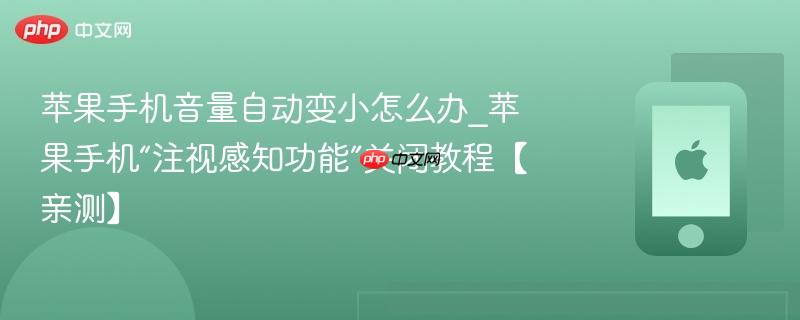 苹果手机音量自动变小怎么办_苹果手机“注视感知功能”关闭教程【亲测】