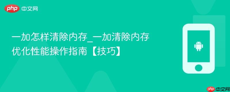 一加怎样清除内存_一加清除内存优化性能操作指南【技巧】