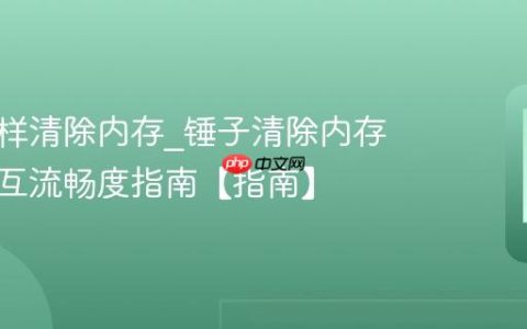 锤子怎样清除内存?锤子清除内存优化交互流畅度指南【指南】