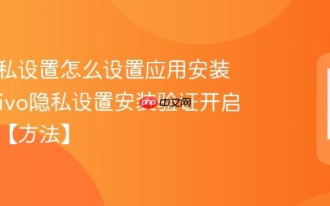 vivo隐私设置怎么设置应用安装验证?vivo隐私设置安装验证开启与例外【方法】