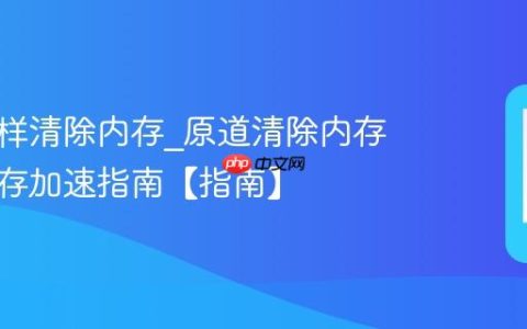 原道怎样清除内存?原道清除内存释放运存加速指南【指南】