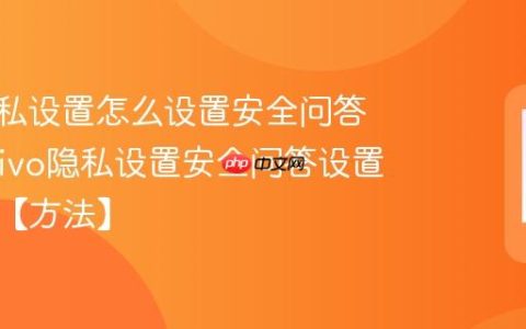 vivo隐私设置怎么设置安全问答验证?vivo隐私设置安全问答设置与找回【方法】