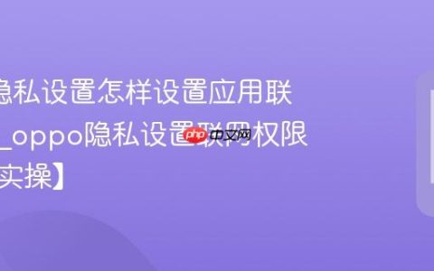 oppo隐私设置怎样设置应用联网限制?oppo隐私设置联网权限管理【实操】