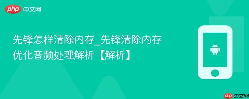先锋怎样清除内存_先锋清除内存优化音频处理解析【解析】