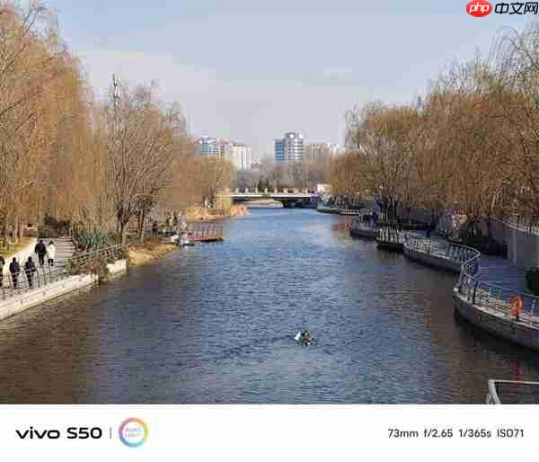 谁说标准版就得妥协 vivo S50全面上手体验