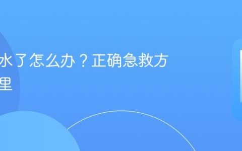 手机进水了怎么办？正确急救方法在这里