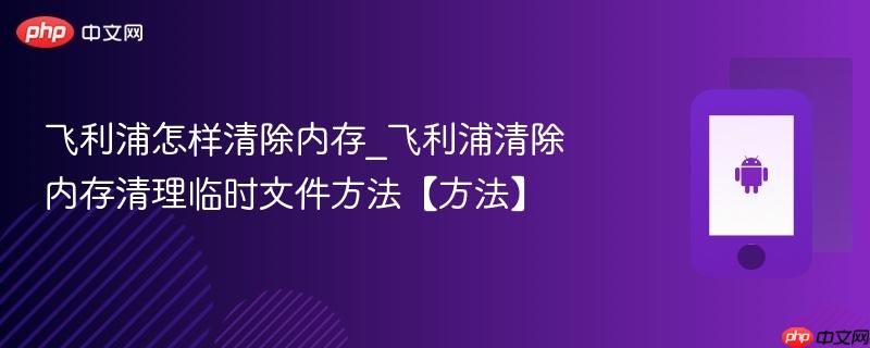 飞利浦怎样清除内存_飞利浦清除内存清理临时文件方法【方法】
