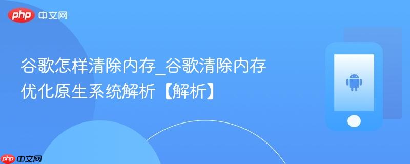 谷歌怎样清除内存_谷歌清除内存优化原生系统解析【解析】