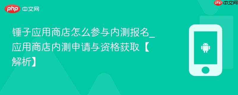 锤子应用商店怎么参与内测报名_应用商店内测申请与资格获取【解析】