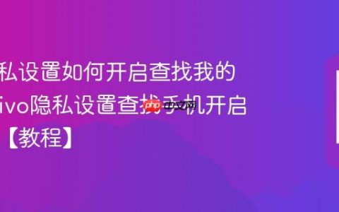 vivo隐私设置如何开启查找我的手机?vivo隐私设置查找手机开启与定位【教程】