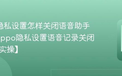 oppo隐私设置怎样关闭语音助手记录?oppo隐私设置语音记录关闭流程【实操】