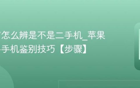 苹果17怎么辨是不是二手机?苹果17二手手机鉴别技巧【步骤】
