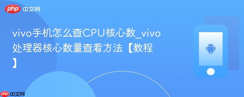 vivo手机怎么查cpu核心数_vivo处理器核心数量查看方法【教程】