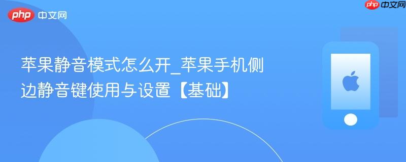 苹果静音模式怎么开_苹果手机侧边静音键使用与设置【基础】