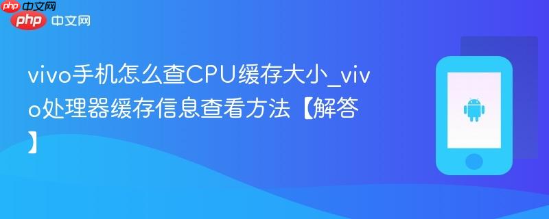 vivo手机怎么查cpu缓存大小_vivo处理器缓存信息查看方法【解答】