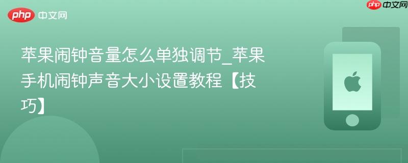 苹果闹钟音量怎么单独调节_苹果手机闹钟声音大小设置教程【技巧】