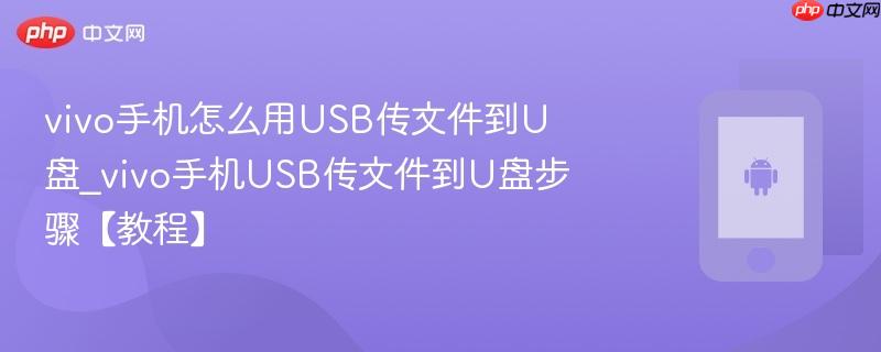 vivo手机怎么用usb传文件到u盘_vivo手机usb传文件到u盘步骤【教程】