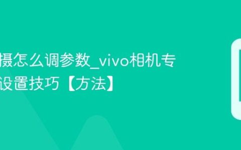 vivo拍摄怎么调参数?vivo相机专业模式设置技巧【方法】