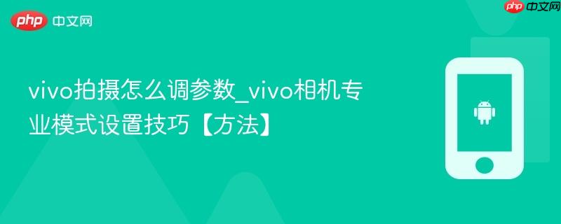 vivo拍摄怎么调参数_vivo相机专业模式设置技巧【方法】
