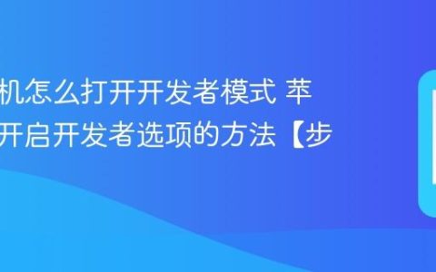 苹果手机怎么打开开发者模式 苹果手机开启开发者选项的方法【步骤】