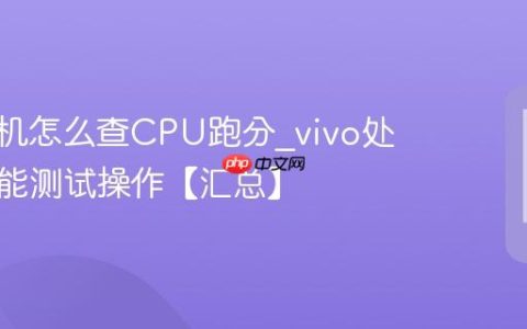 vivo手机怎么查CPU跑分?vivo处理器性能测试操作【汇总】